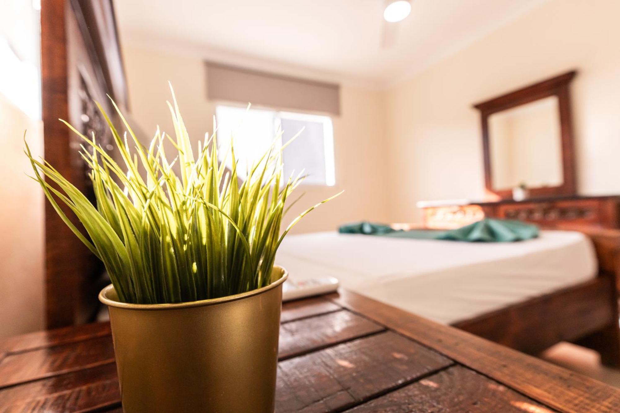 Hostal Las Rosas De Punta Cana Ngoại thất bức ảnh